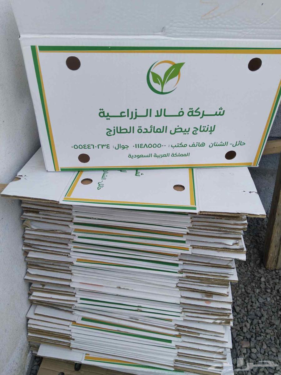 كراتين فاضيه للبيع حق عفش ويوجد توصيل64247607784450114