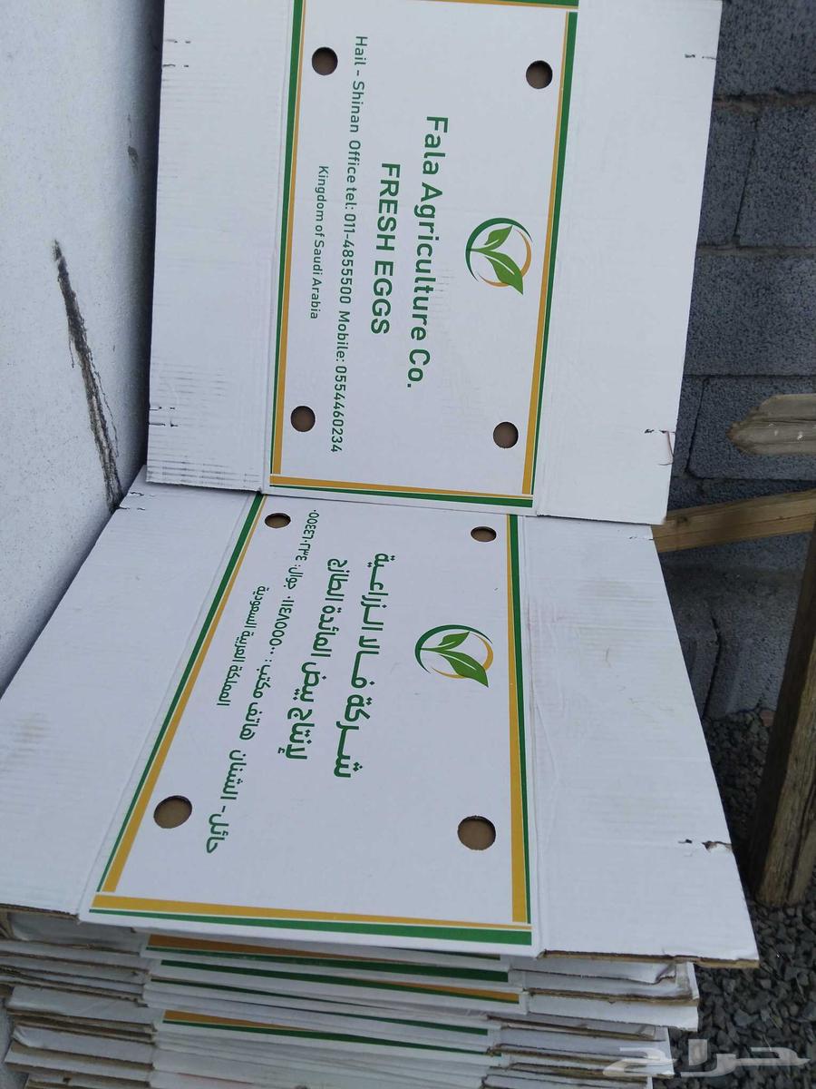 كراتين فاضيه للبيع حق عفش ويوجد توصيل64247607784450113