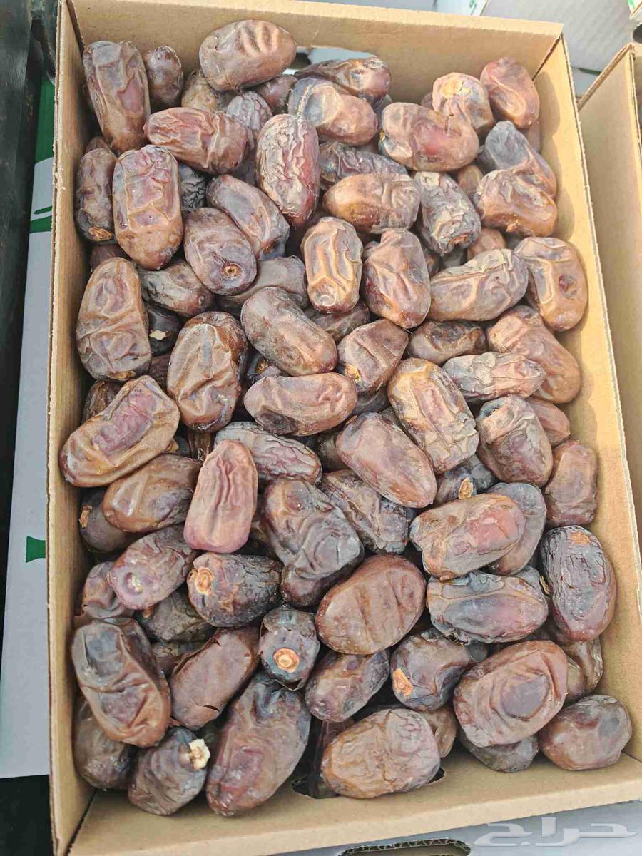 ونانه قشر فاخره جدا64493691541890111