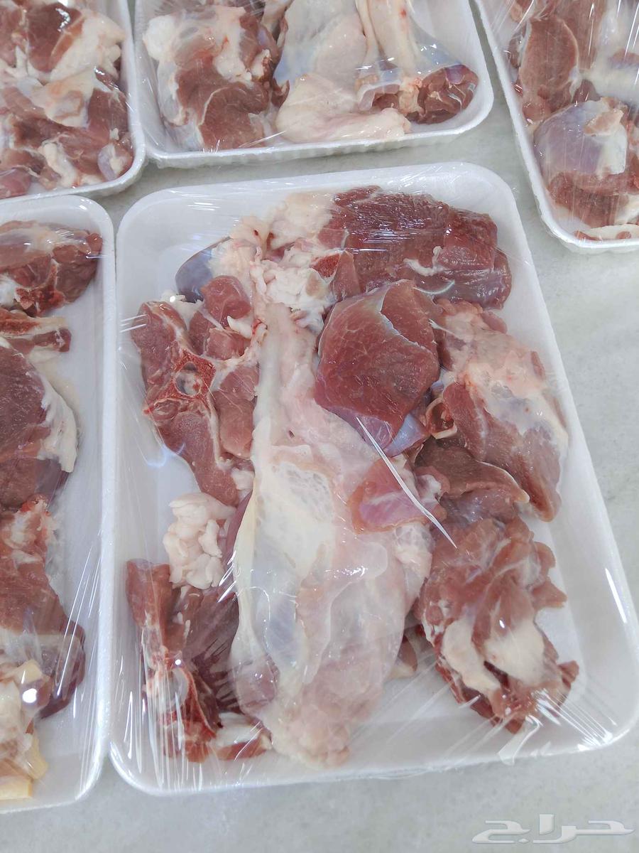 خروف كامل 720ريال تيس كامل 77064575503707265111