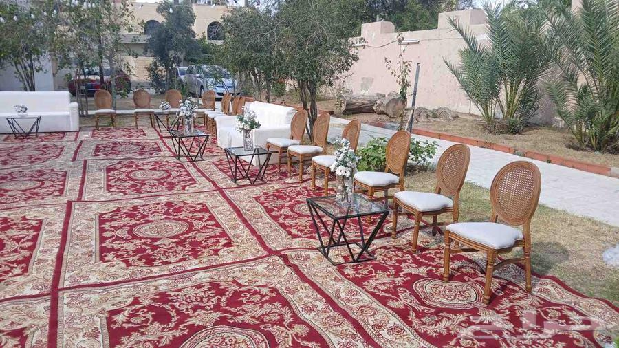 Baroness Parties Coordination64572201222530110