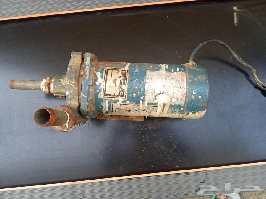 Bassam Dynamo Horse and a Half Used64573950286466114