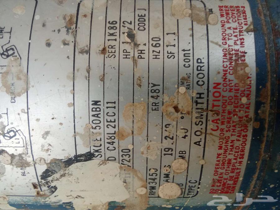 Bassam Dynamo Horse and a Half Used64573950286466111