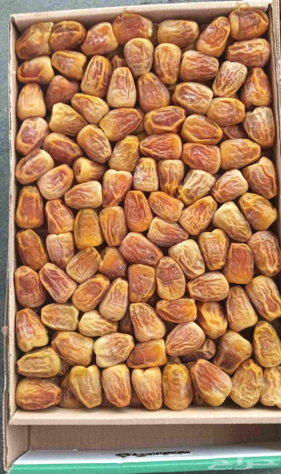 تمر سكري مفتل درجة أولى 40 ريال64574902032258110