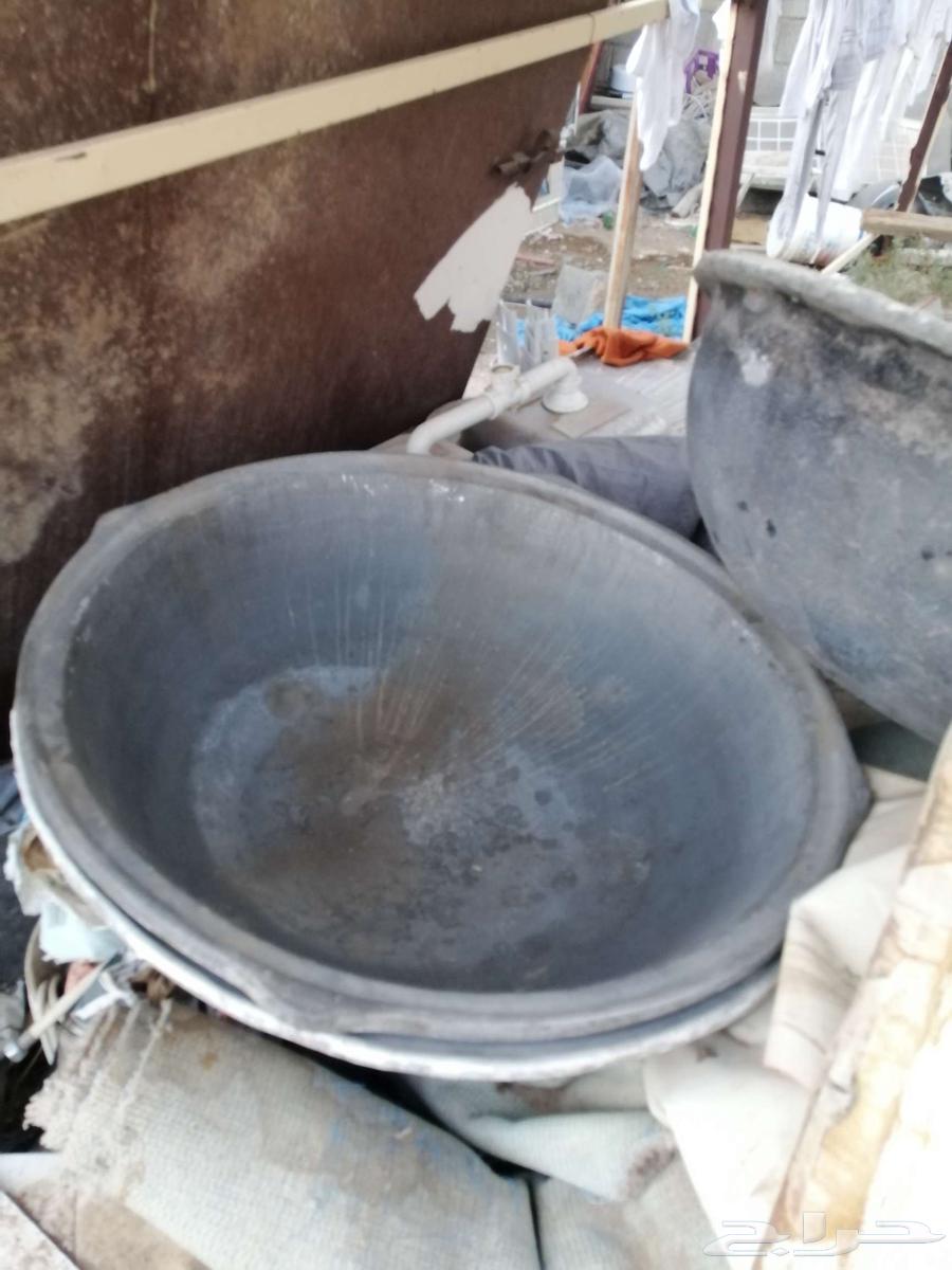 ثلاثه قدور رز بخاري 1 متر. للبيع64577444268162112