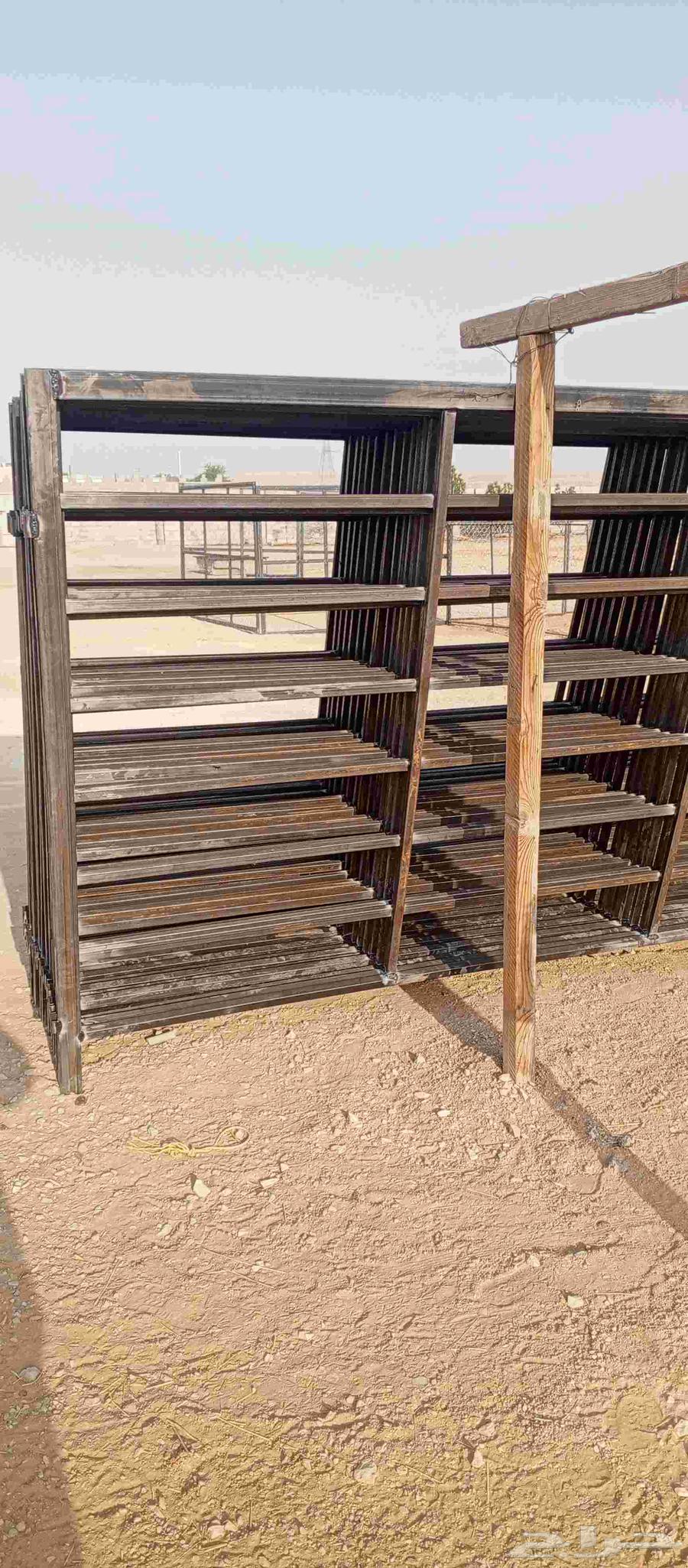 Draf Abel64573474315011111