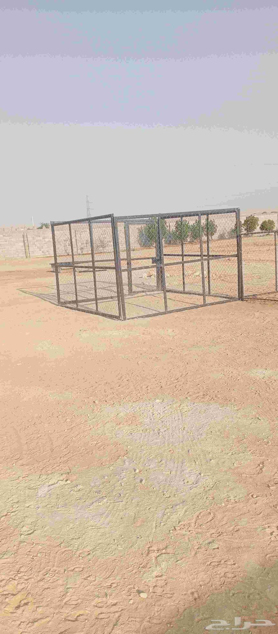 Draf Abel64573474315011113