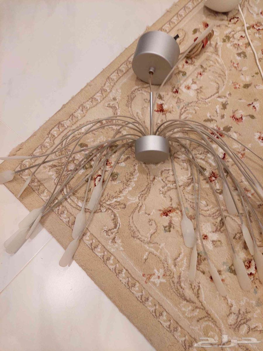 Carpet - Lighting - Tables - Panels64578173069955114