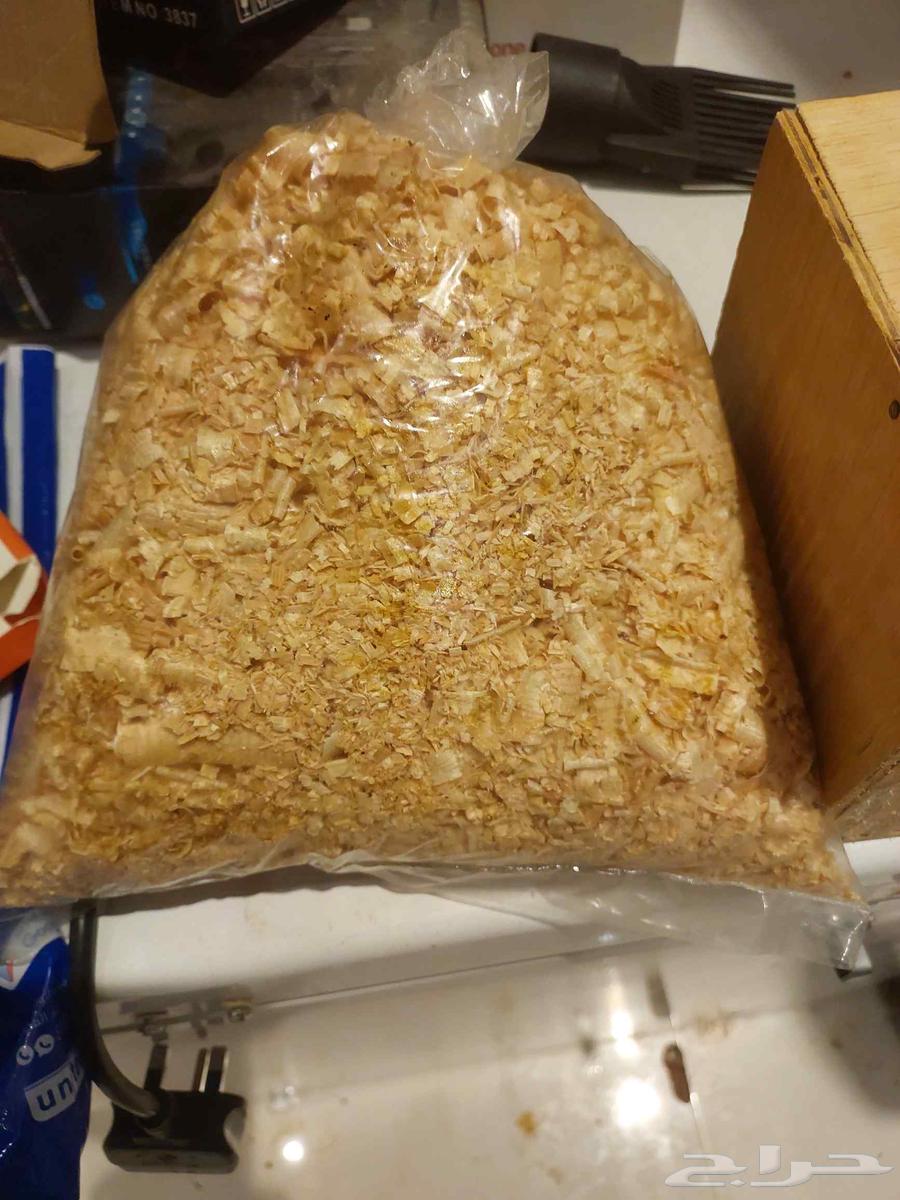 صندوق بياضة بادجي64576715316226112