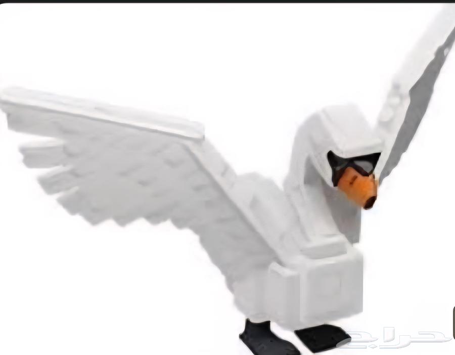 حيوان البجعه swan في ماب المزرعه64571985759618110