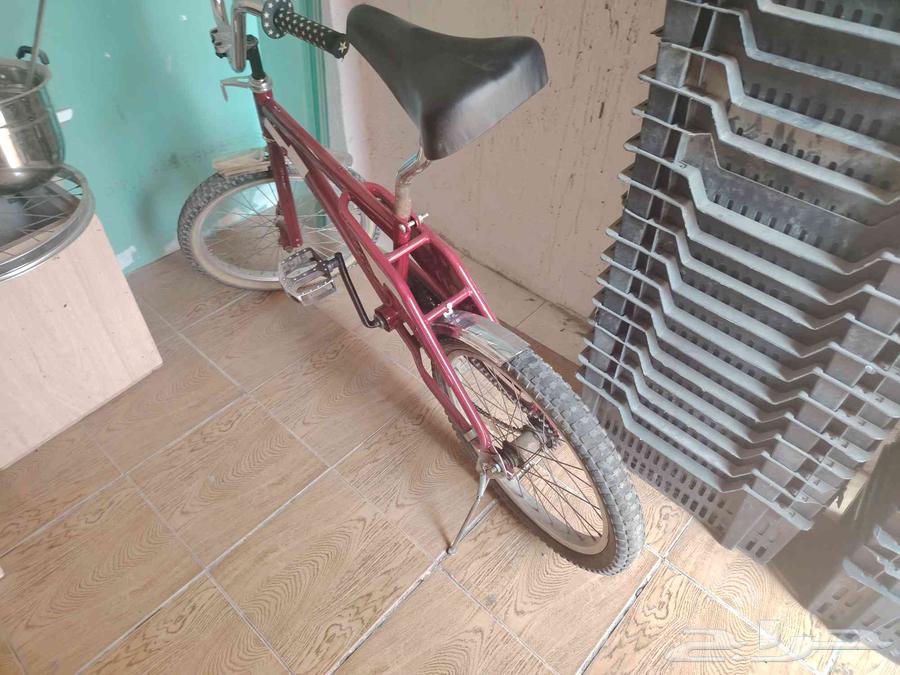 للبيع سيكل رامبو64574663717123110