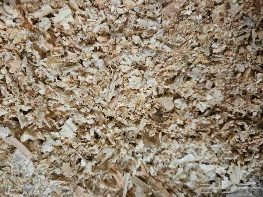 نشاره خشب تفريد وجملة64572607648642110