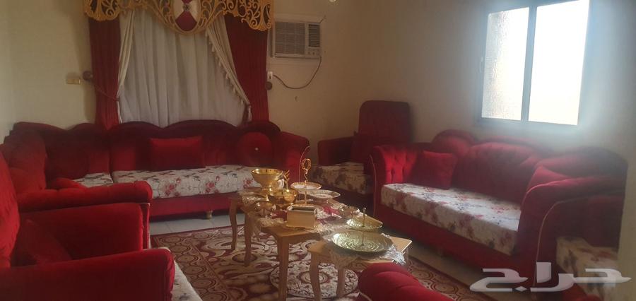 اثاث طقم كنب مع الستارة الطاولات والسجادة السعر 350064575112751619110