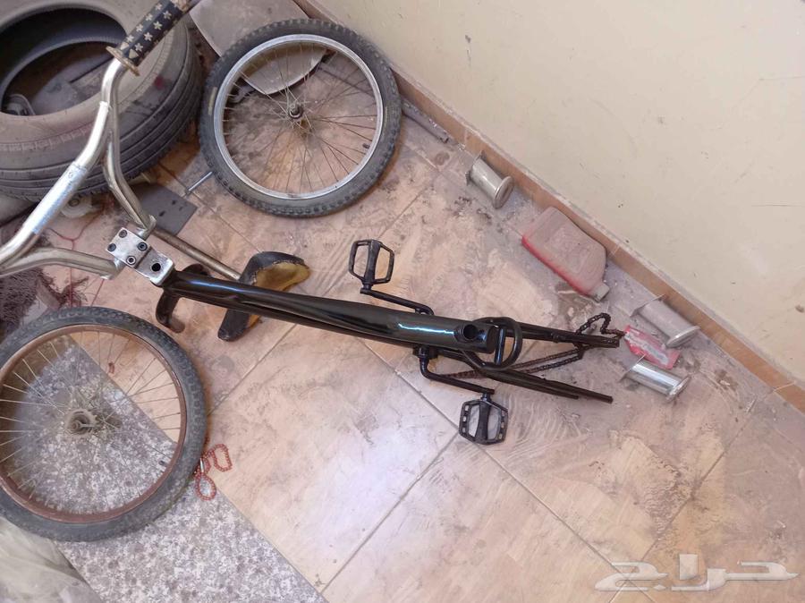 العرض بدي كوبرا64573601543554110