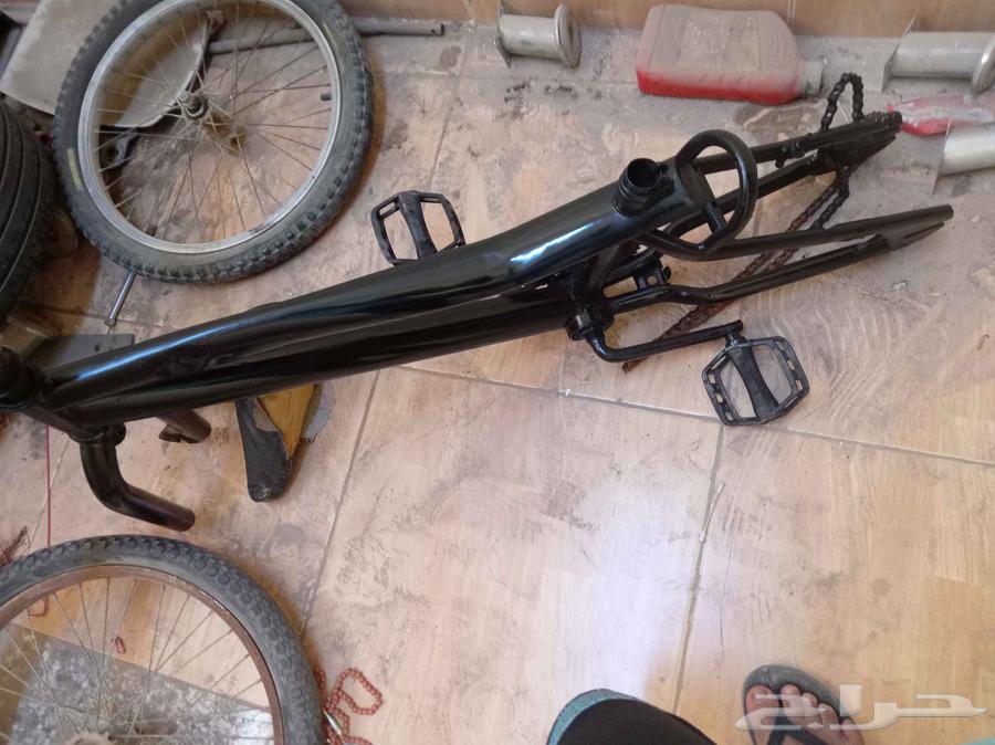 العرض بدي كوبرا64573601543554112