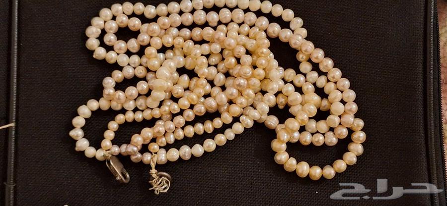 لولو طبيعي64577796756611110