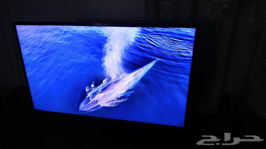 Samsung 4K Smart Screen64579280221313113