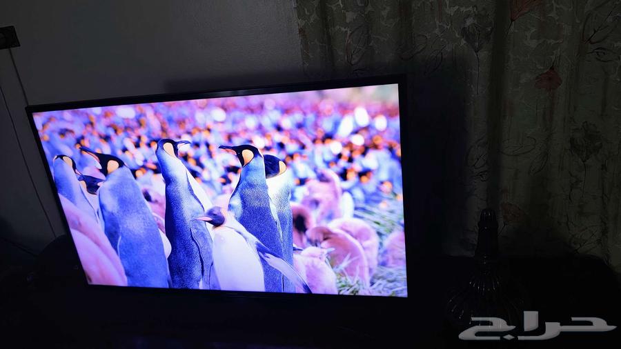 Samsung 4K Smart Screen64579280221313112