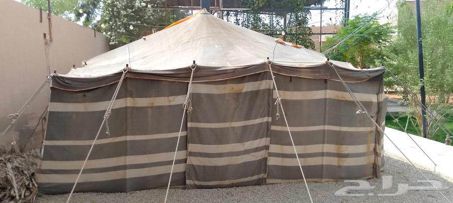 للبيع بيت شعرراكب بالاستراحه64573852953219114