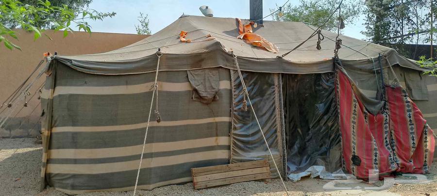 للبيع بيت شعرراكب بالاستراحه64573852953219112