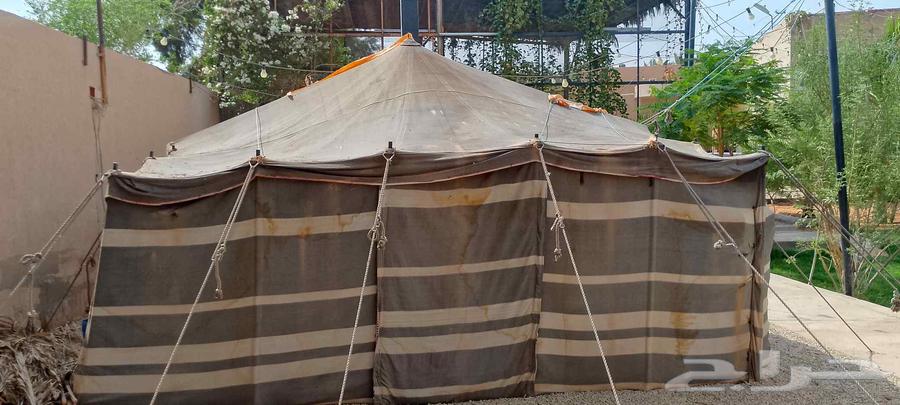 للبيع بيت شعرراكب بالاستراحه64573852953219110