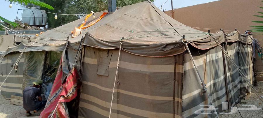 للبيع بيت شعرراكب بالاستراحه64573852953219111