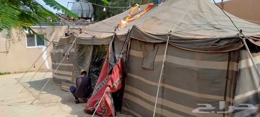 للبيع بيت شعرراكب بالاستراحه64573852953219113