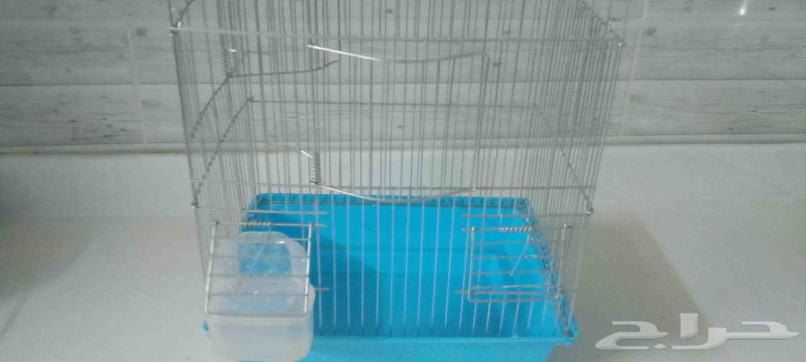قفص حمام ازرق للبيع حديد ستيل للطيور الكبيره ( بادجي - روز -64578312250625111