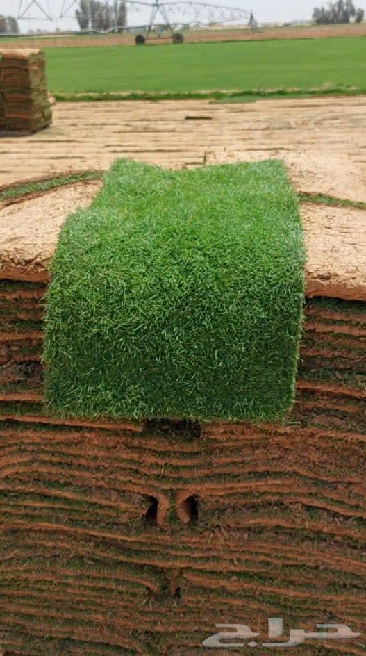 Thil C 2000 pure and natural first grade with installation and supply available inside and outside Riyadh64573108964609111