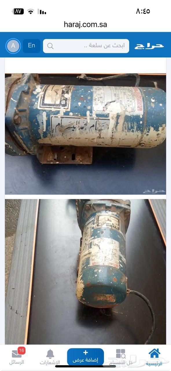 Bassam Dynamo Horse and a Half Used64573950286466110