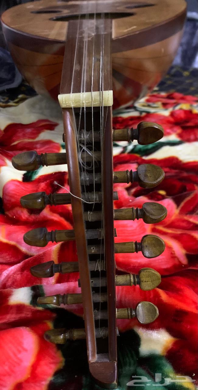 للبيع عود أعواد ابو ليلة64574734127361111