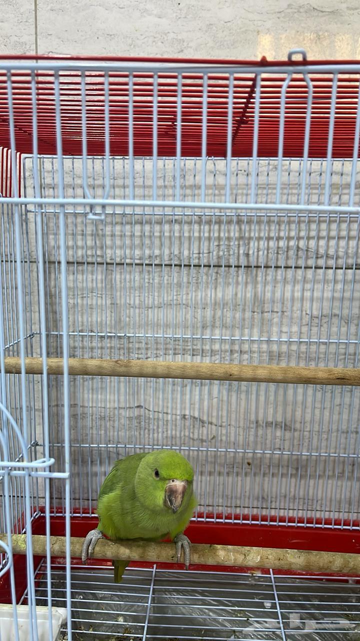 Valley64575849903617111