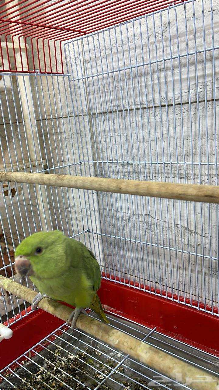 Valley64575849903617110