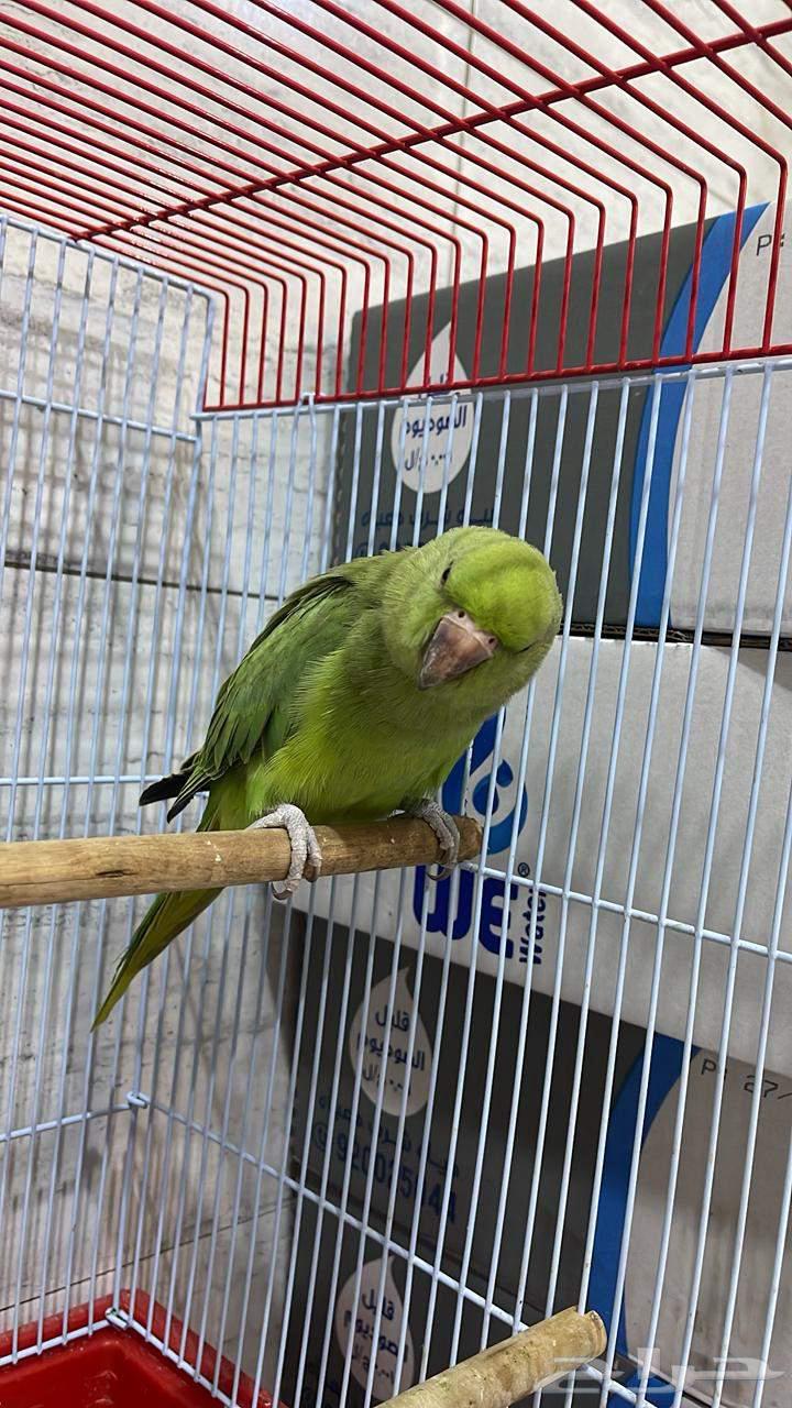 Valley64575849903617112