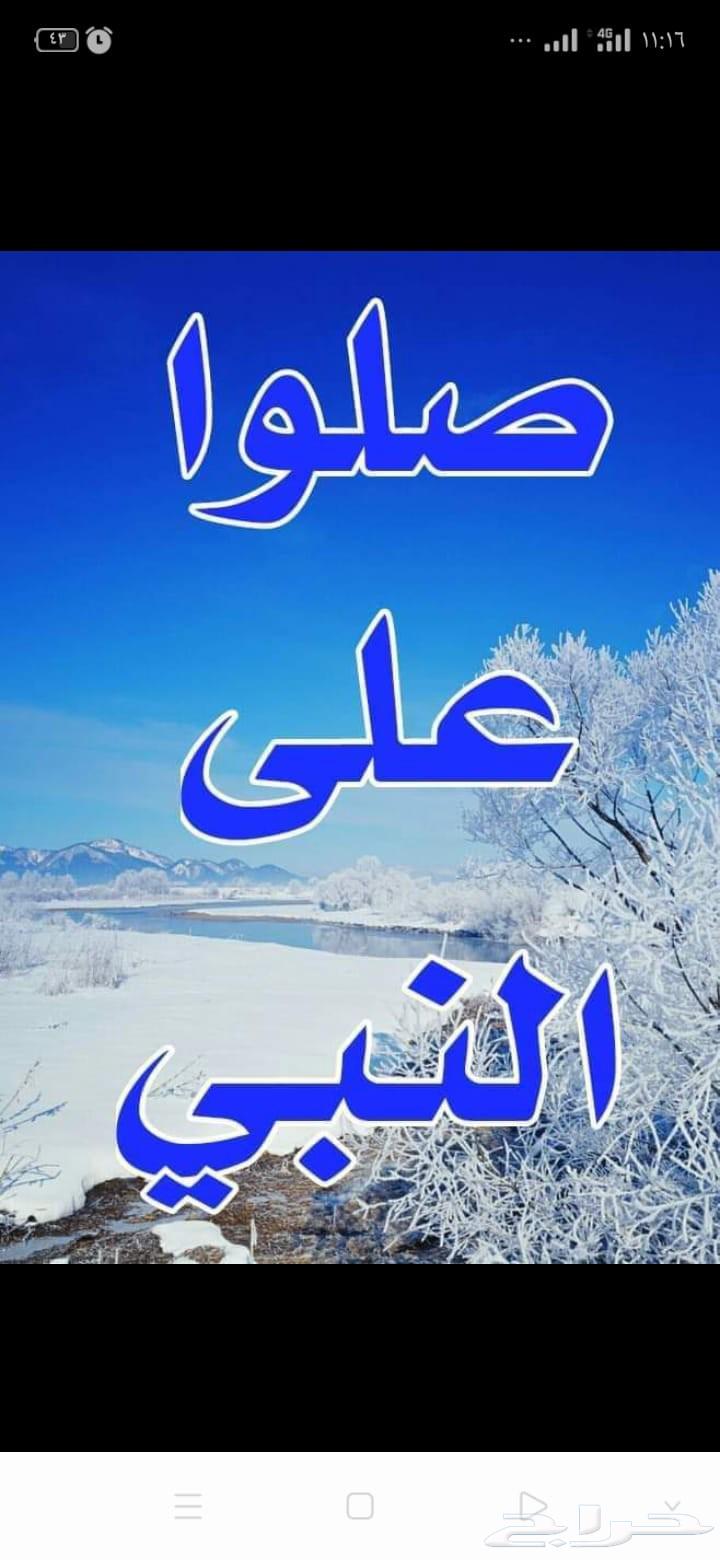 Need a used bicycle (second-hand bike) who has one offer64576548092803110