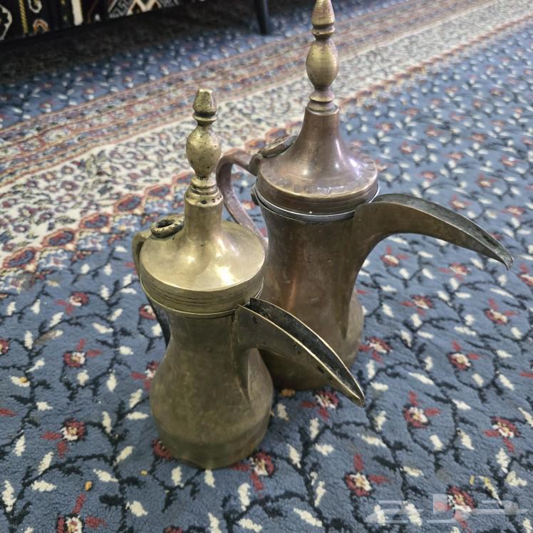 عدد 2 دلال قرشيه64577036560130111