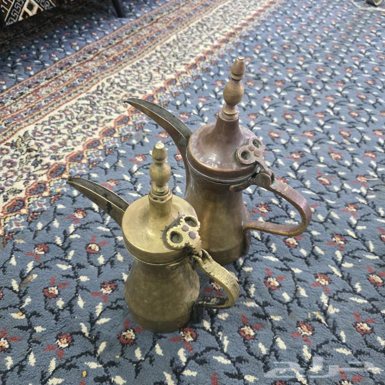 عدد 2 دلال قرشيه64577036560130110