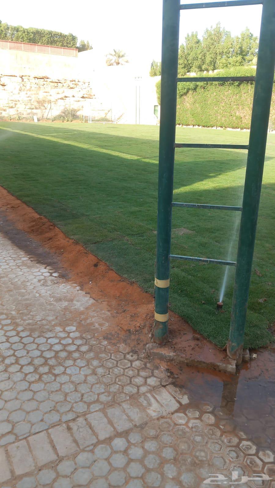 Thil C 2000 pure and natural first grade with installation and supply available inside and outside Riyadh64573108964609113