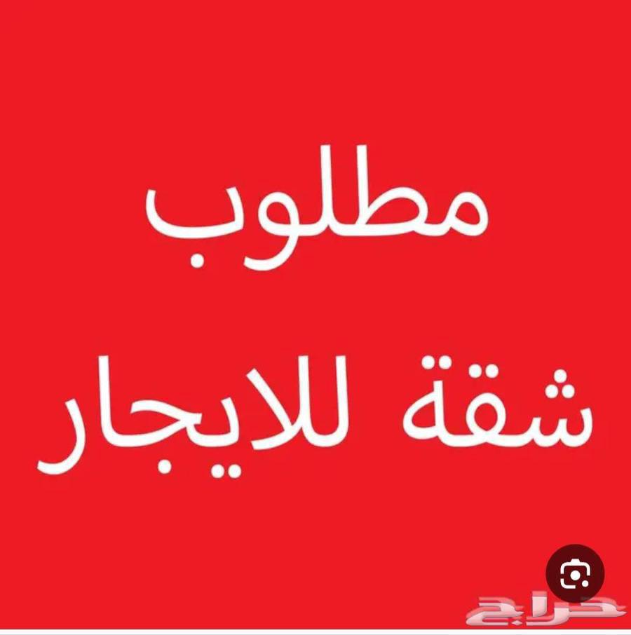 مطلوب شقة للايجار غرفتين وصالة وحمام ومطبخ64145689992321110