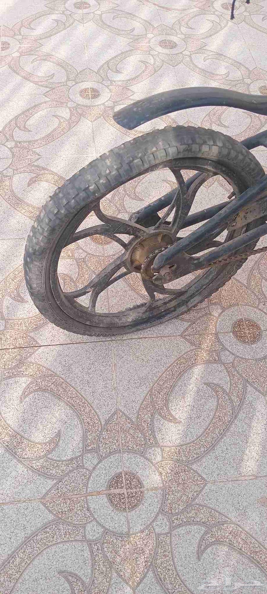 سيكل كوبرا مقاس 2064576632045314112