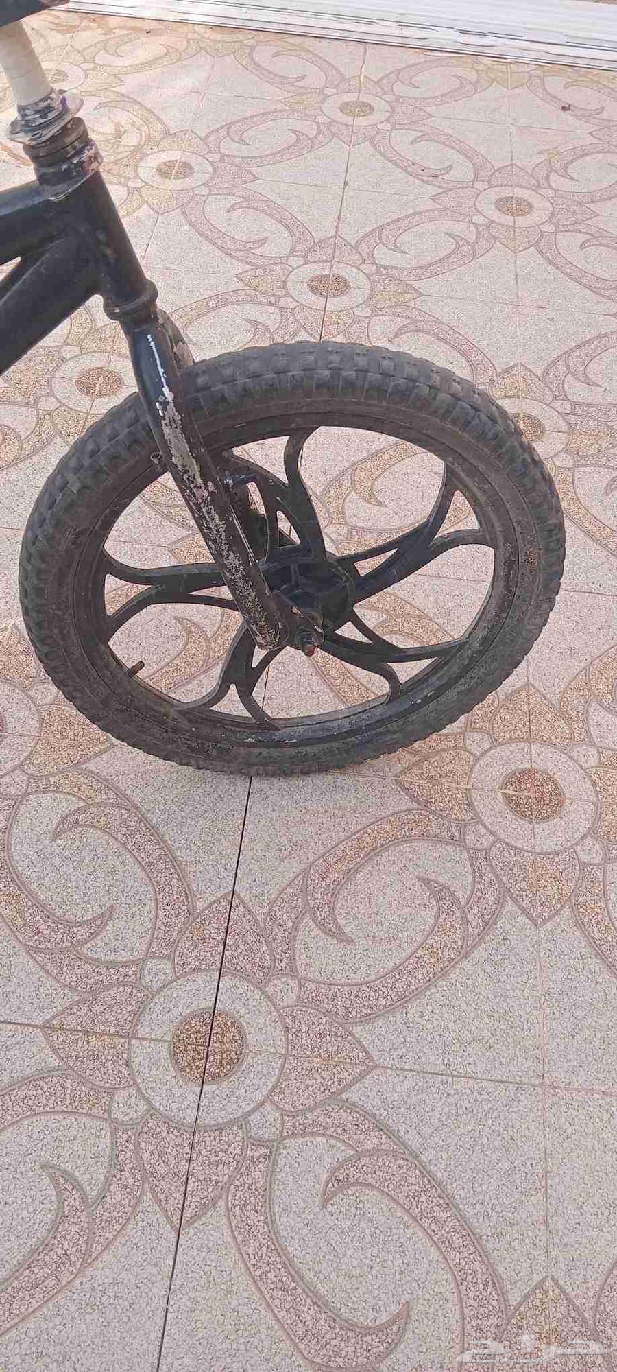 سيكل كوبرا مقاس 2064576632045314110