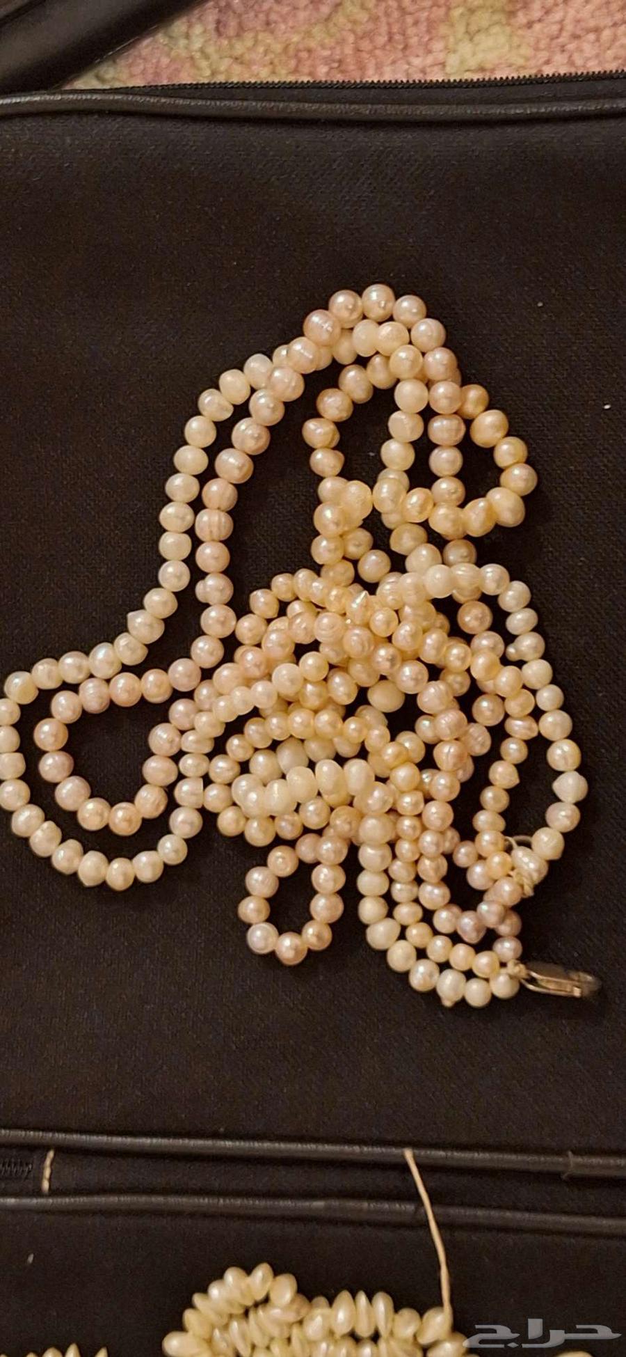 لولو طبيعي64577796756611111