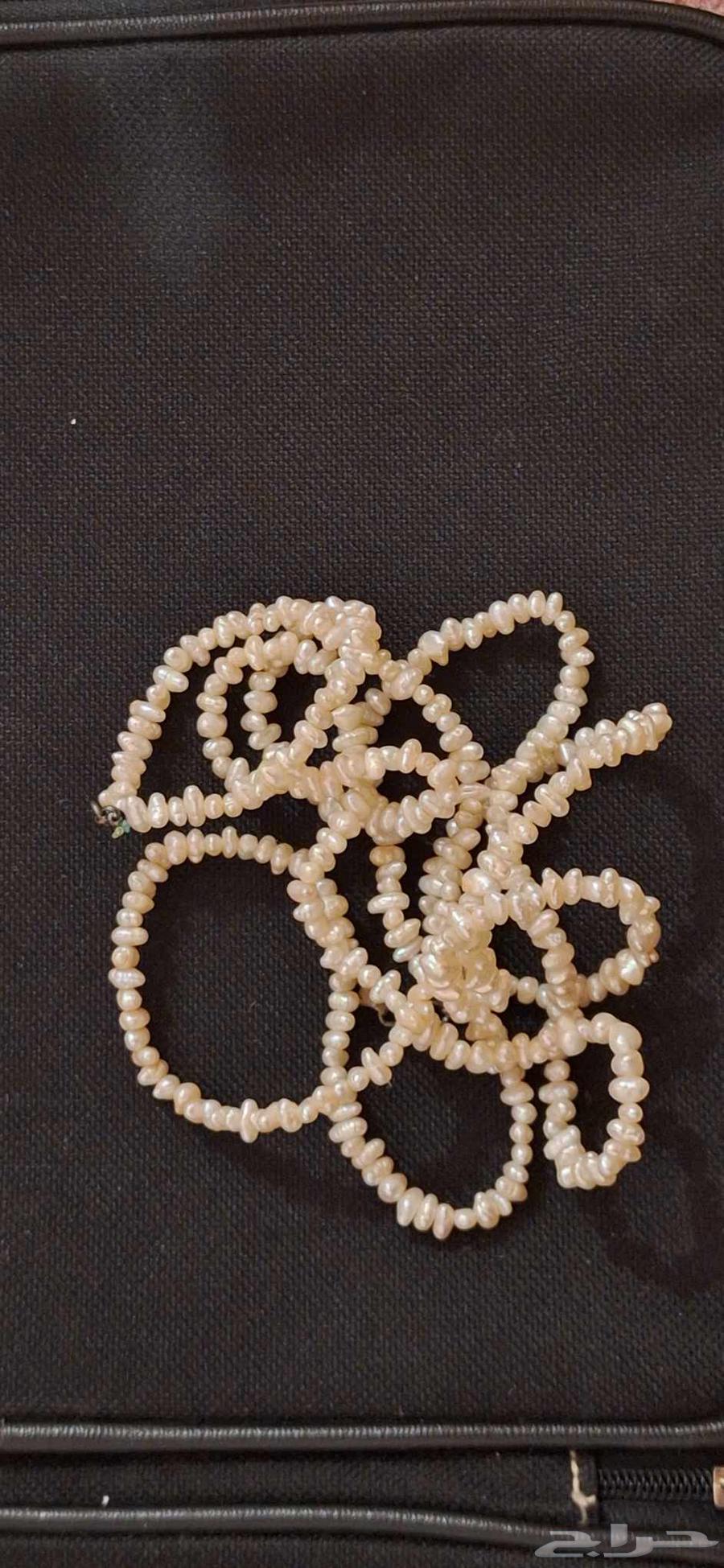 لولو طبيعي64577796756611113