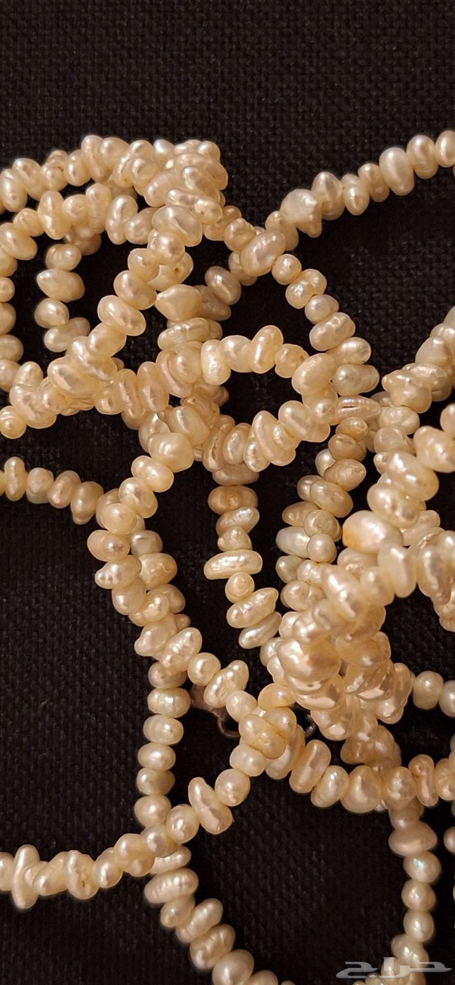 لولو طبيعي64577796756611112