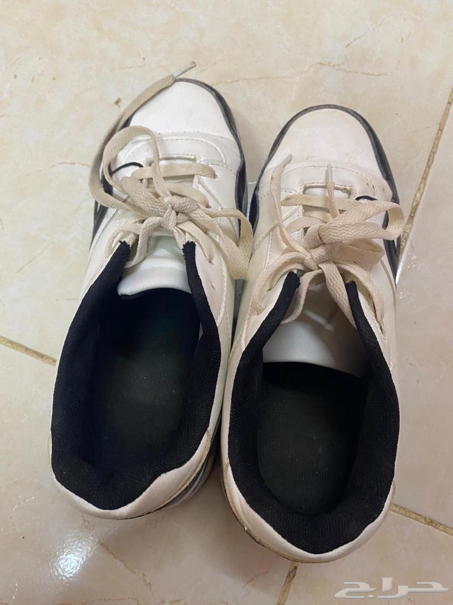 Heels with straps and without straps64576868785923112