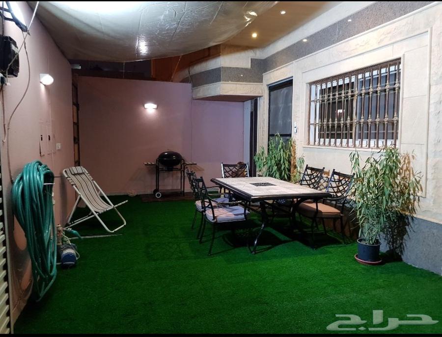 عشب صناعي للبيع   مقاس 9م   3.85م64574692256771112