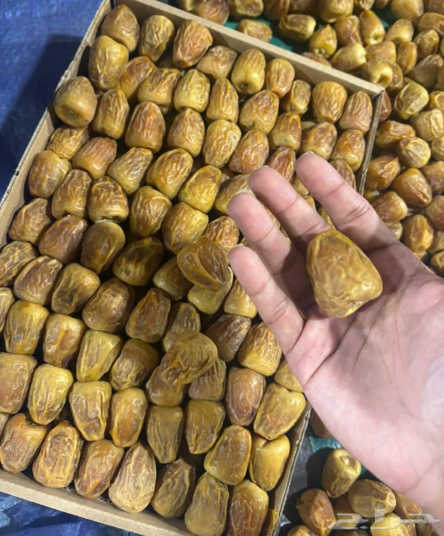 Royal Mafatil Dates 45 SAR64580308304131110