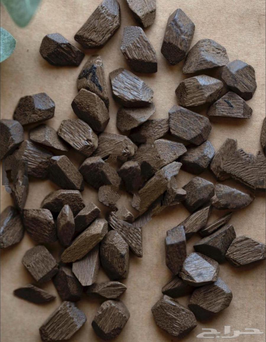 عود كمبودي دقة64583668490754110