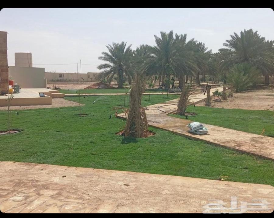 ثيل طبيعي64155777804674110