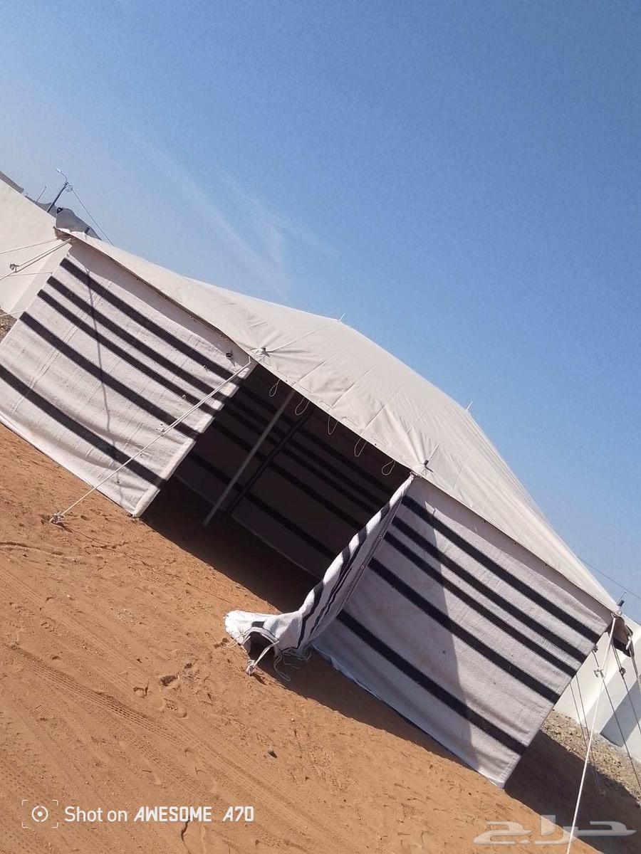 بيوت شعر وخيام64579787358338113